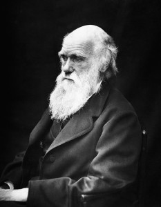 charles-robert-darwin-62911_640