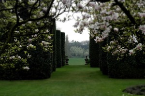Walled Garden