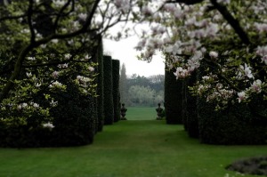 Walled Garden