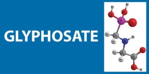 Glyphosate