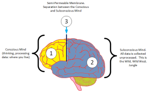 The Mind according to David Brown